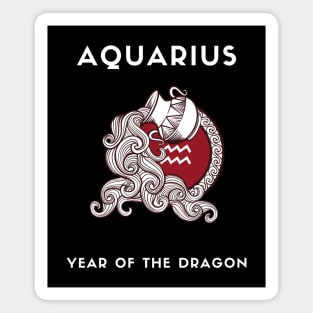 AQUARIUS / Year of the DRAGON Magnet